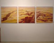 Anneke Silver